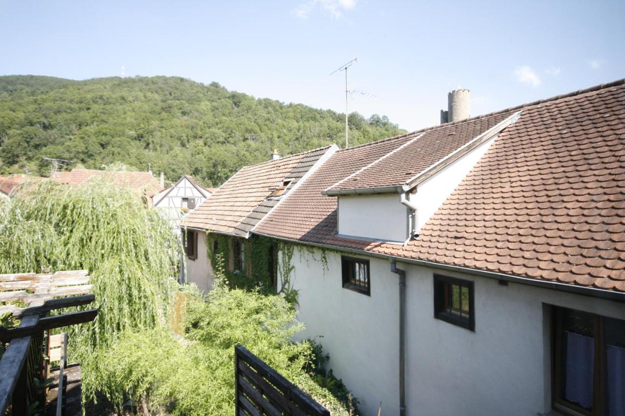 Appartement Le Keiler Kaysersberg-Vignoble Luaran gambar